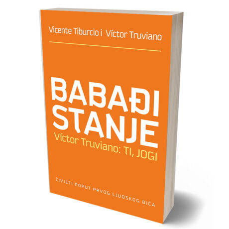 Babadi stanje